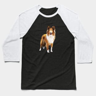 Rough Collie Cute Dog Baseball T-Shirt